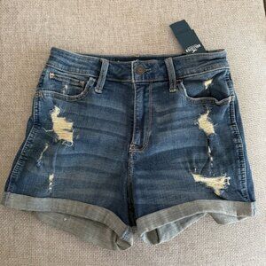 Hollistee Denim Shorts High-rise Curvy Sz 5